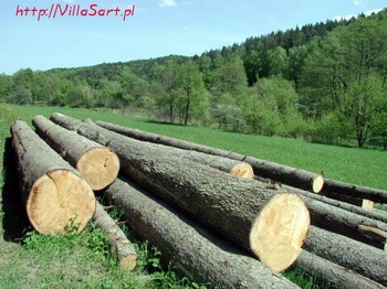 Surroundings - Oliva - Joy Valley